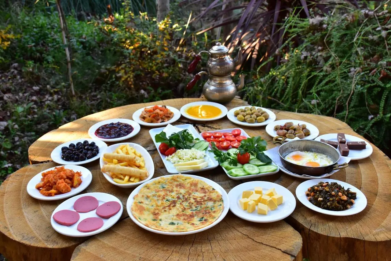 Hayal Vadisi Suite Hotel ترابزون 0*,